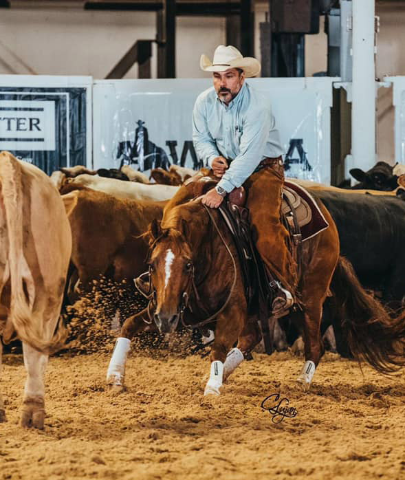 World Cutting Horse Association Share the excitement!